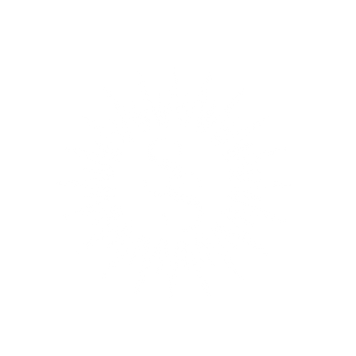 A white monogram logo featuring interlocking S pattern and radiating sun rays.